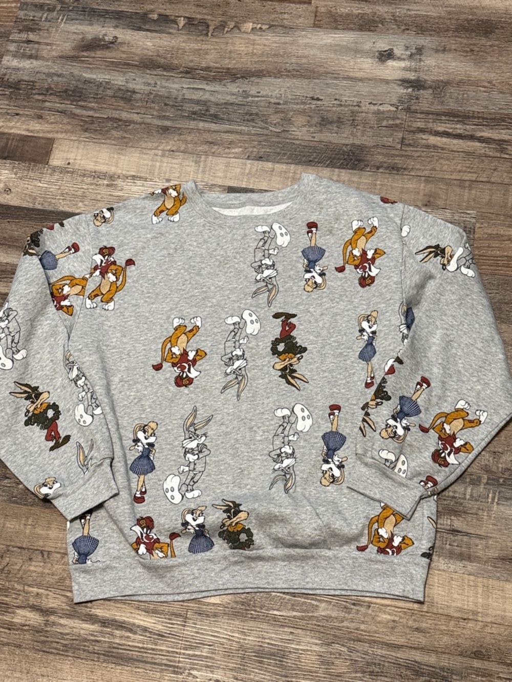 Warner Brothers 100 Looney Tunes X Wizard of Oz Characters Sweatshirt XL